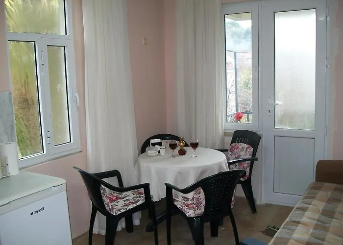 ホテル Sevgi 3 3*