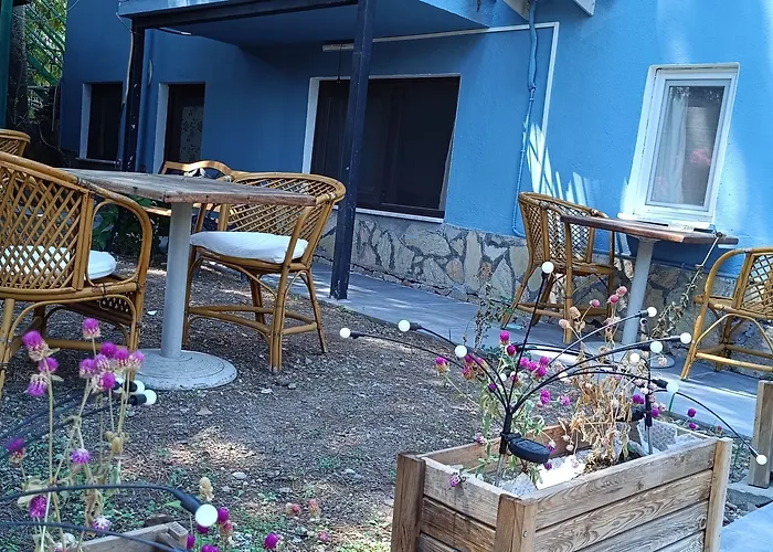 Sevgi 3 3* サルゲルメ